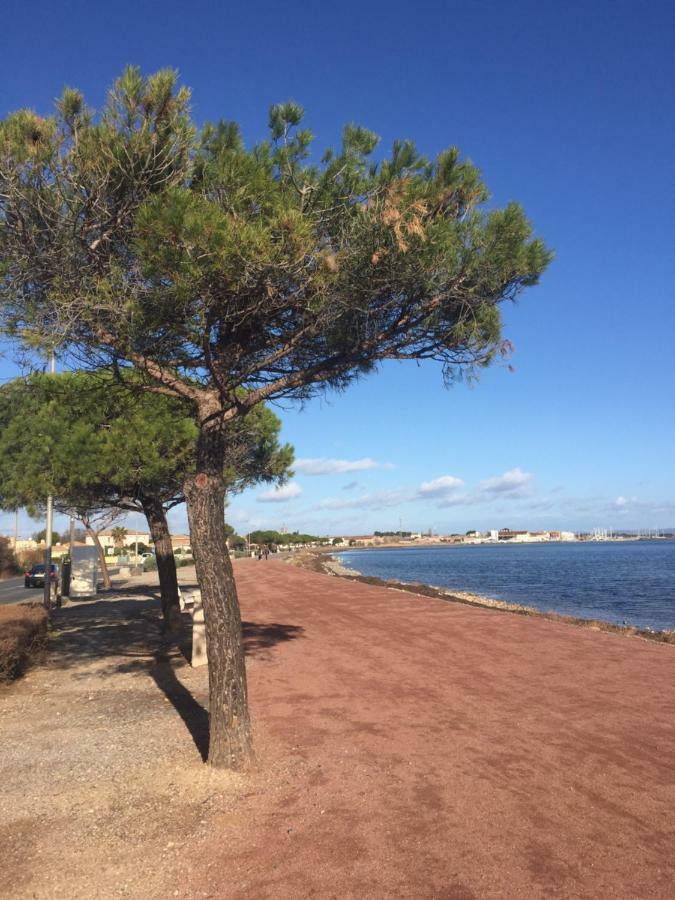 La Scribote Apartment Marseillan  Luaran gambar